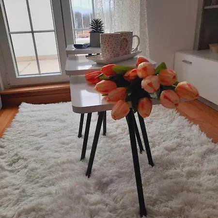 Apartment Lux Natural